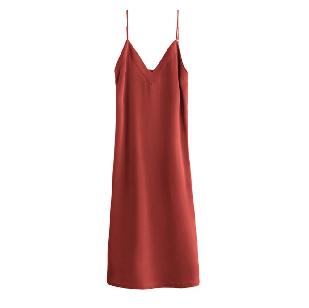 Cuyana 100% Silk Slip Dress Terracotta XS